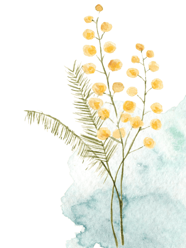 acuarela mimosa.png Terapia somática