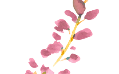 Trauma y el cuerpo: por qué el cuerpo recuerda lo que la mente calla