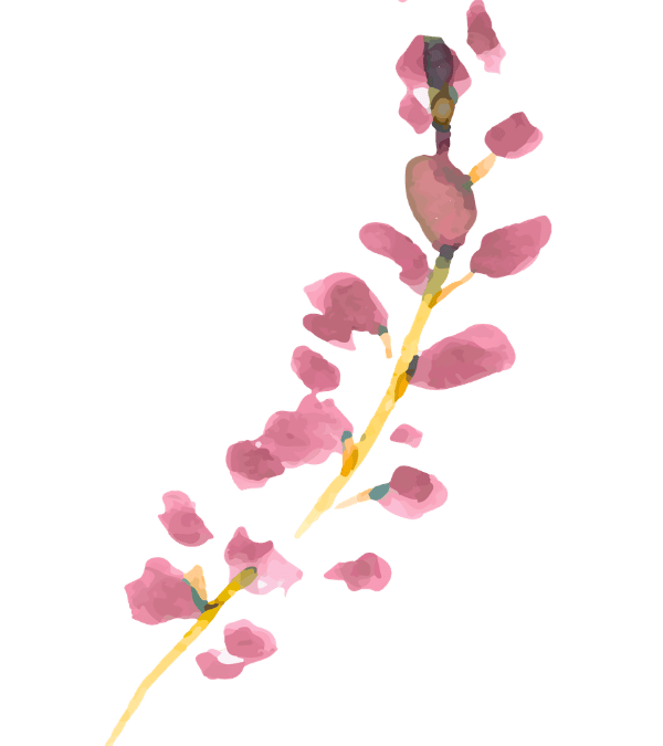 Trauma y el cuerpo: por qué el cuerpo recuerda lo que la mente calla