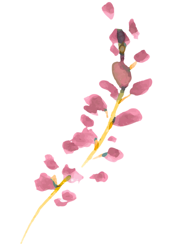 acuarela rama rosa.png Terapia psicológica en Madrid